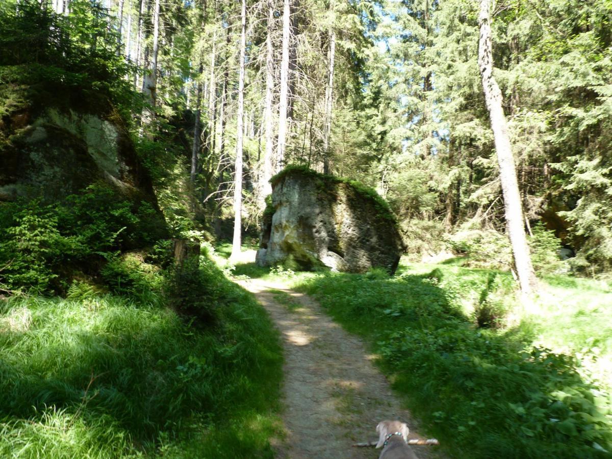 Ein Platz Fuer Ruhe Und Naturgenuss เซบนิทซ์ ภายนอก รูปภาพ