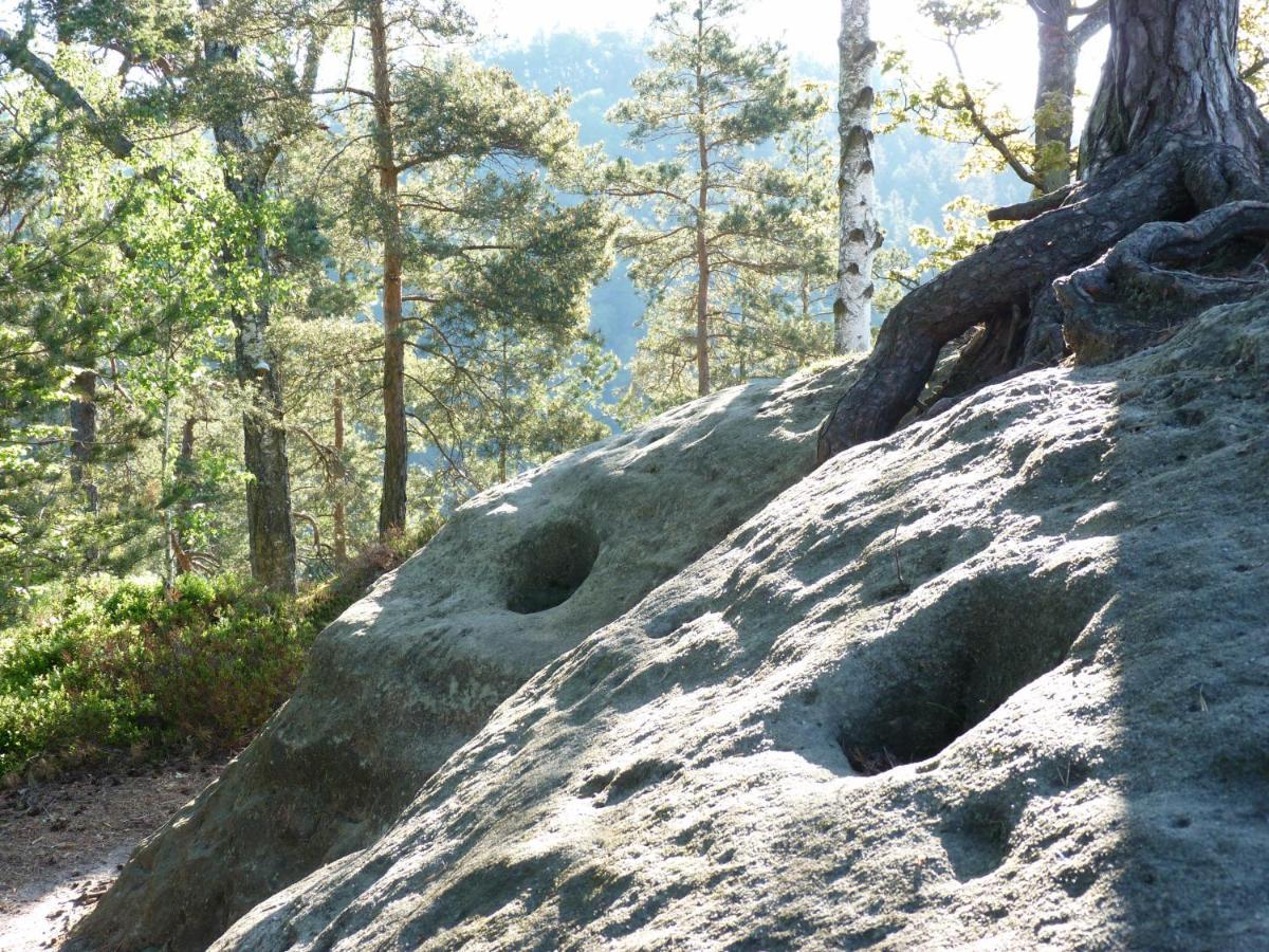 Ein Platz Fuer Ruhe Und Naturgenuss เซบนิทซ์ ภายนอก รูปภาพ