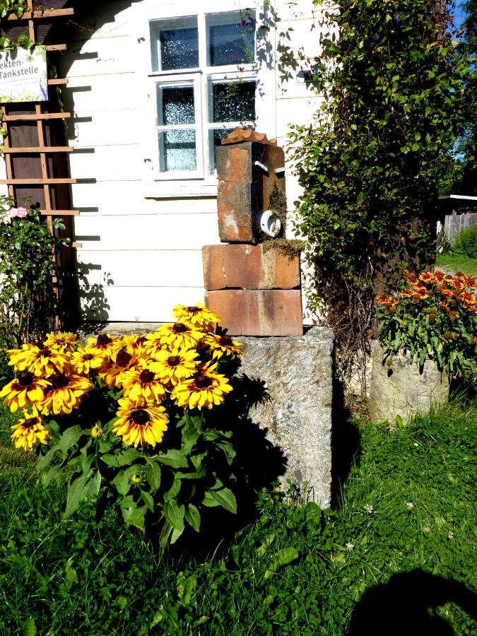 Ein Platz Fuer Ruhe Und Naturgenuss เซบนิทซ์ ภายนอก รูปภาพ
