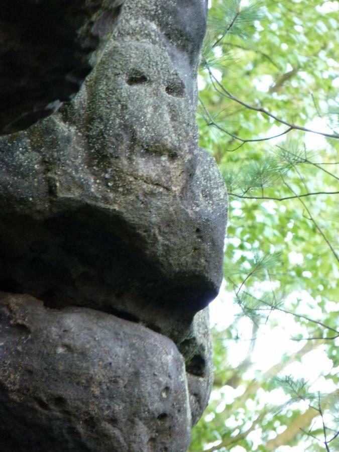 Ein Platz Fuer Ruhe Und Naturgenuss เซบนิทซ์ ภายนอก รูปภาพ