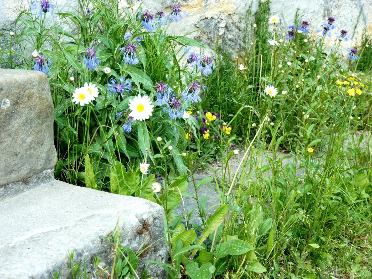 Ein Platz Fuer Ruhe Und Naturgenuss เซบนิทซ์ ภายนอก รูปภาพ